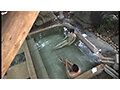 人里離れた混浴温泉で謎の美熟女とのワイセツ映像を盗れ！！