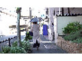 【ちとせさん・29歳Iカップ】眠姦倶楽部 人妻ストーカー昏●