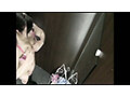 乙女の着替え部屋 ～おっぱいを陰毛をパイパンをコッソリ拝見～